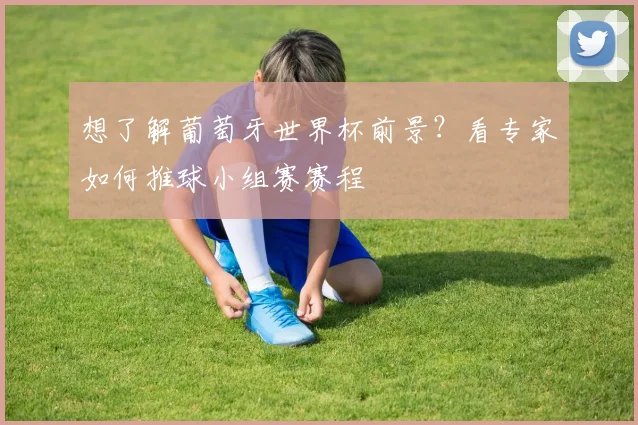 想了解葡萄牙世界杯前景？看专家如何推球小组赛赛程