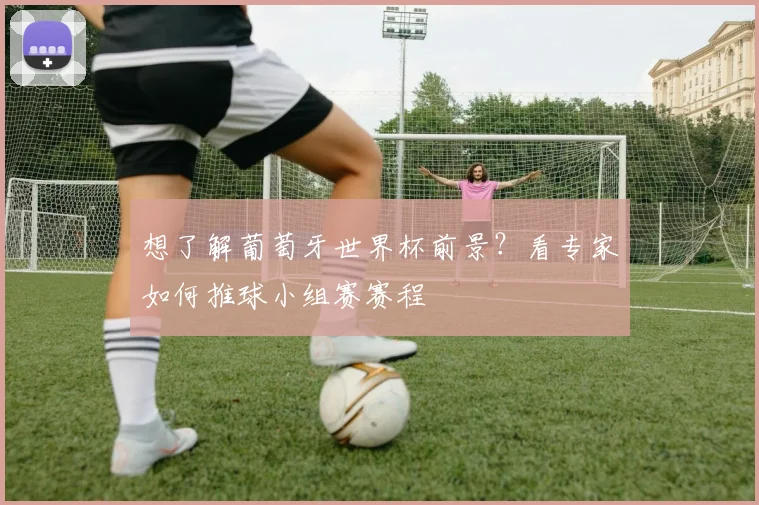 想了解葡萄牙世界杯前景？看专家如何推球小组赛赛程